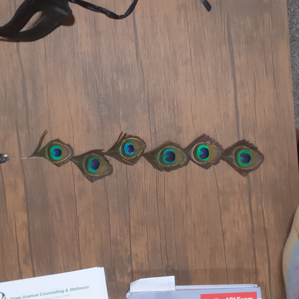 Peacock feather hair clip